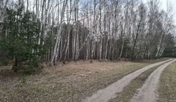 Działka leśna Zborów