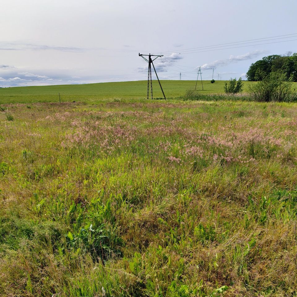 Działka budowlana Sobowidz, ul. Tadeusza Kościuszki. Zdjęcie 6
