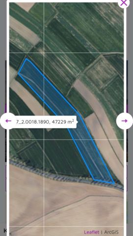 Działka rolna Mokrzeszów. Zdjęcie 1