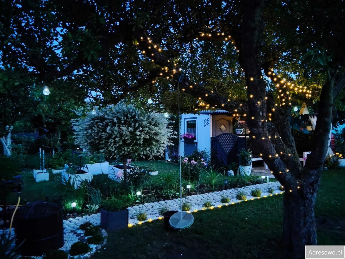 Działka rod Witkowo. Zdjęcie 2