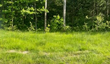 Działka budowlana Święta Katarzyna, ul. Spacerowa