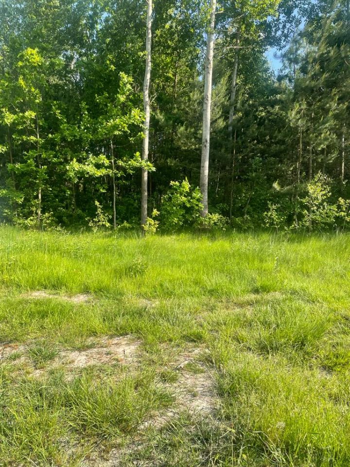 Działka budowlana Święta Katarzyna, ul. Spacerowa. Zdjęcie 2