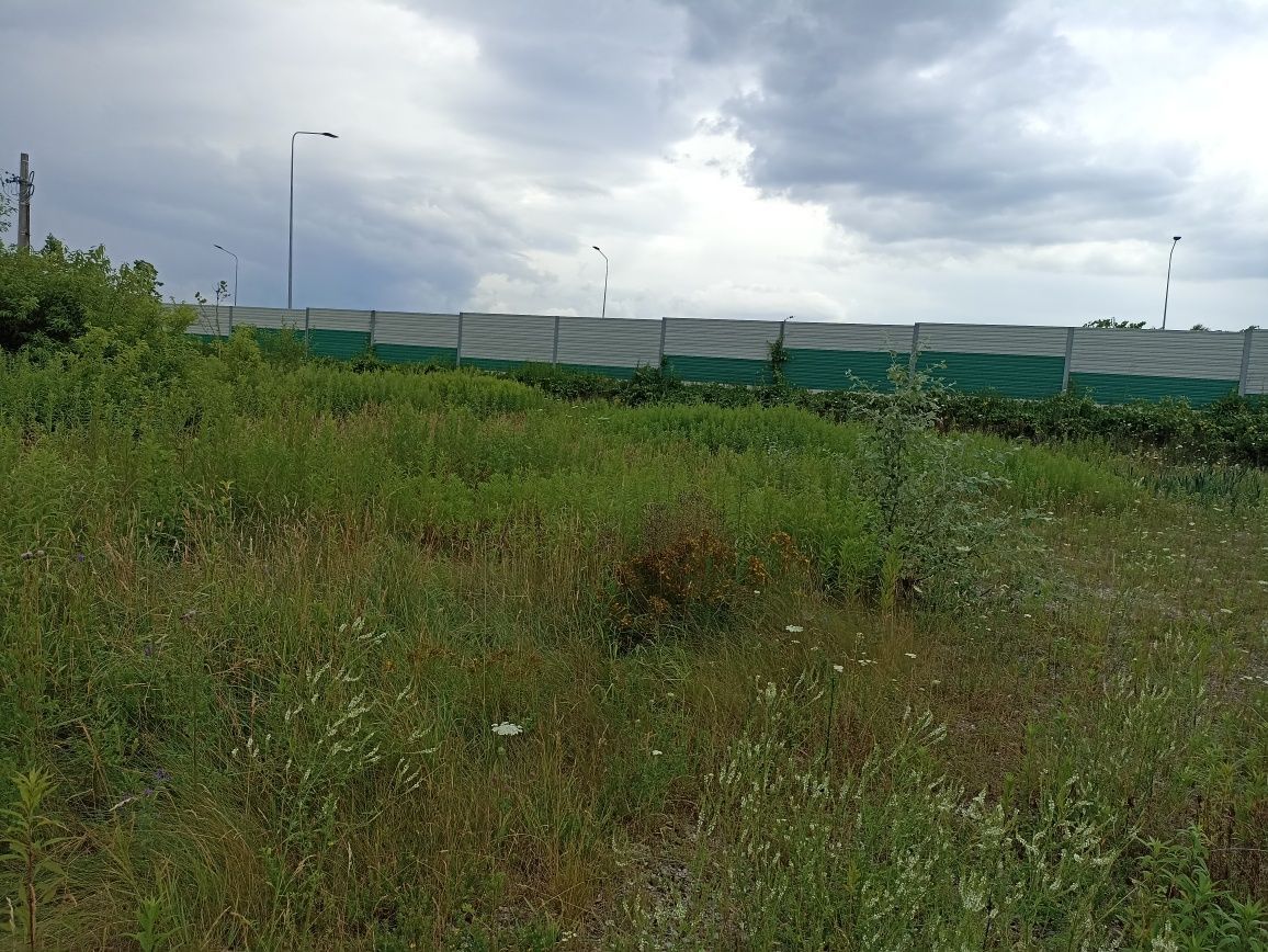 Działka inwestycyjna Dybów-Kolonia. Zdjęcie 1