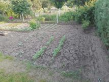 Działka rekreacyjna Czernica, ul. św. Ojca Pio. Zdjęcie 2