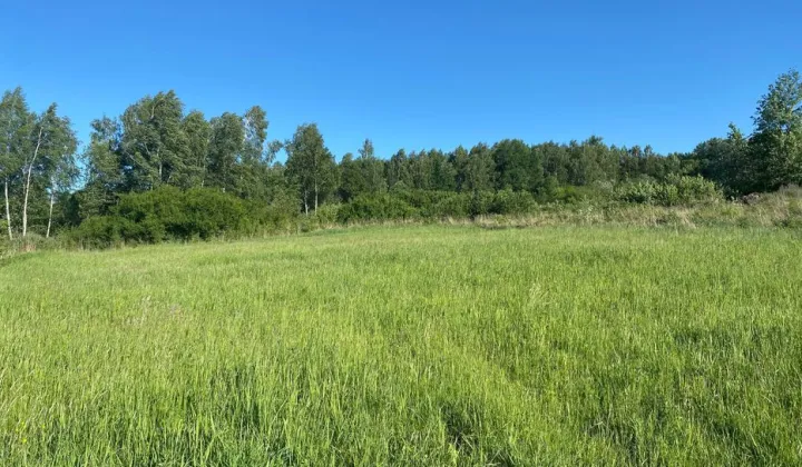 Działka budowlana Włodowice, ul. Leszczynowa