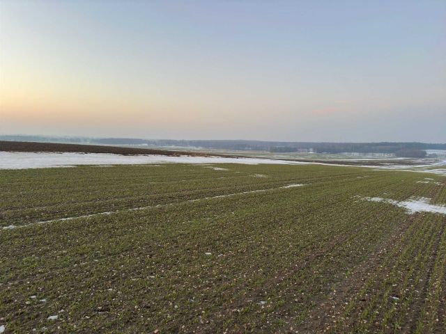 Działka budowlana Sadów. Zdjęcie 1