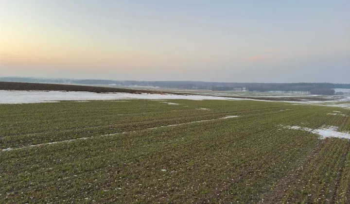 Działka budowlana Sadów