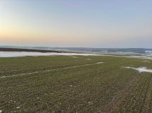 Działka budowlana Sadów