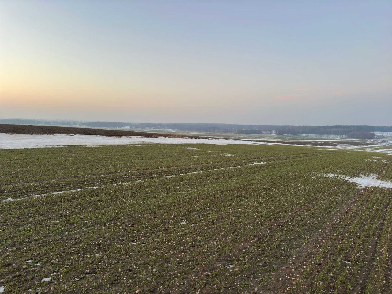 Działka budowlana Sadów