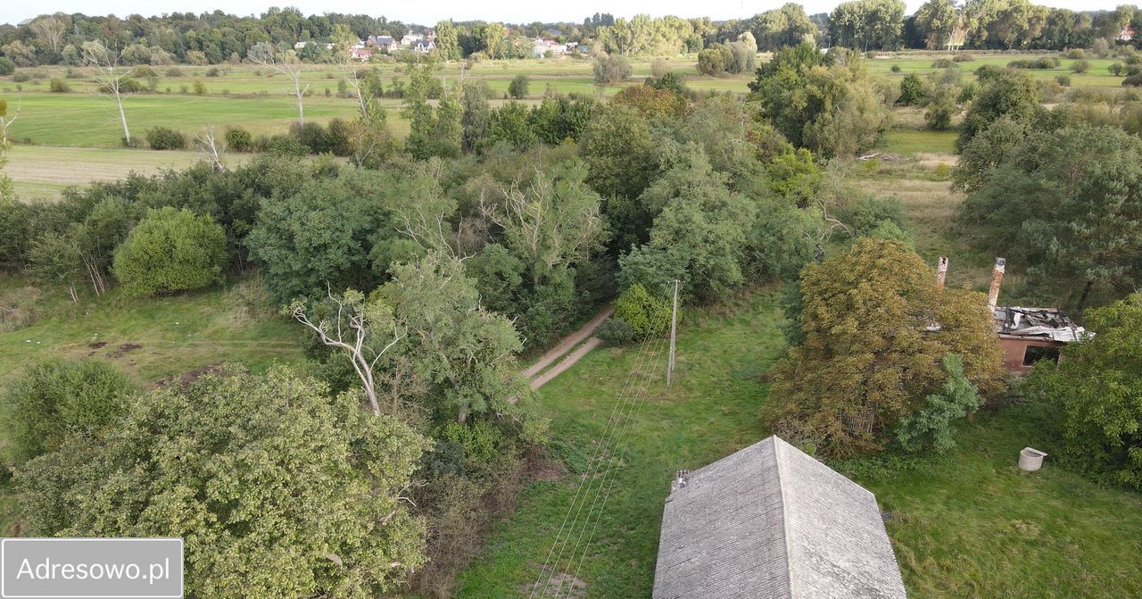 Działka rolno-budowlana Ciążeńskie Holendry. Zdjęcie 3