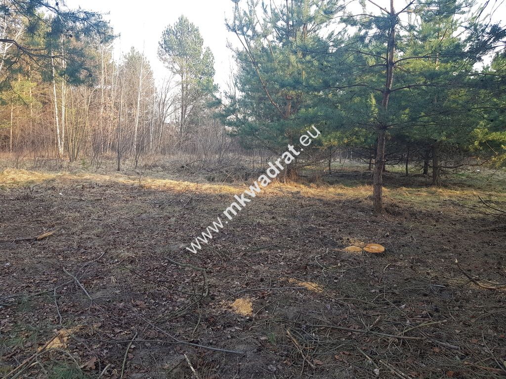 Działka Rozalin. Zdjęcie 4