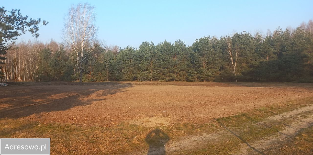 Działka rolno-budowlana Domatków Zagranica. Zdjęcie 1