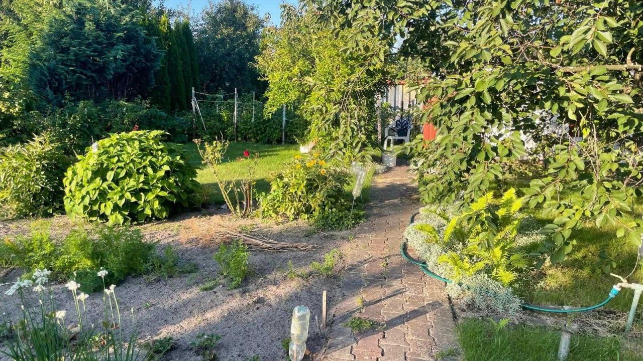 Działka rod Sępólno Krajeńskie. Zdjęcie 7