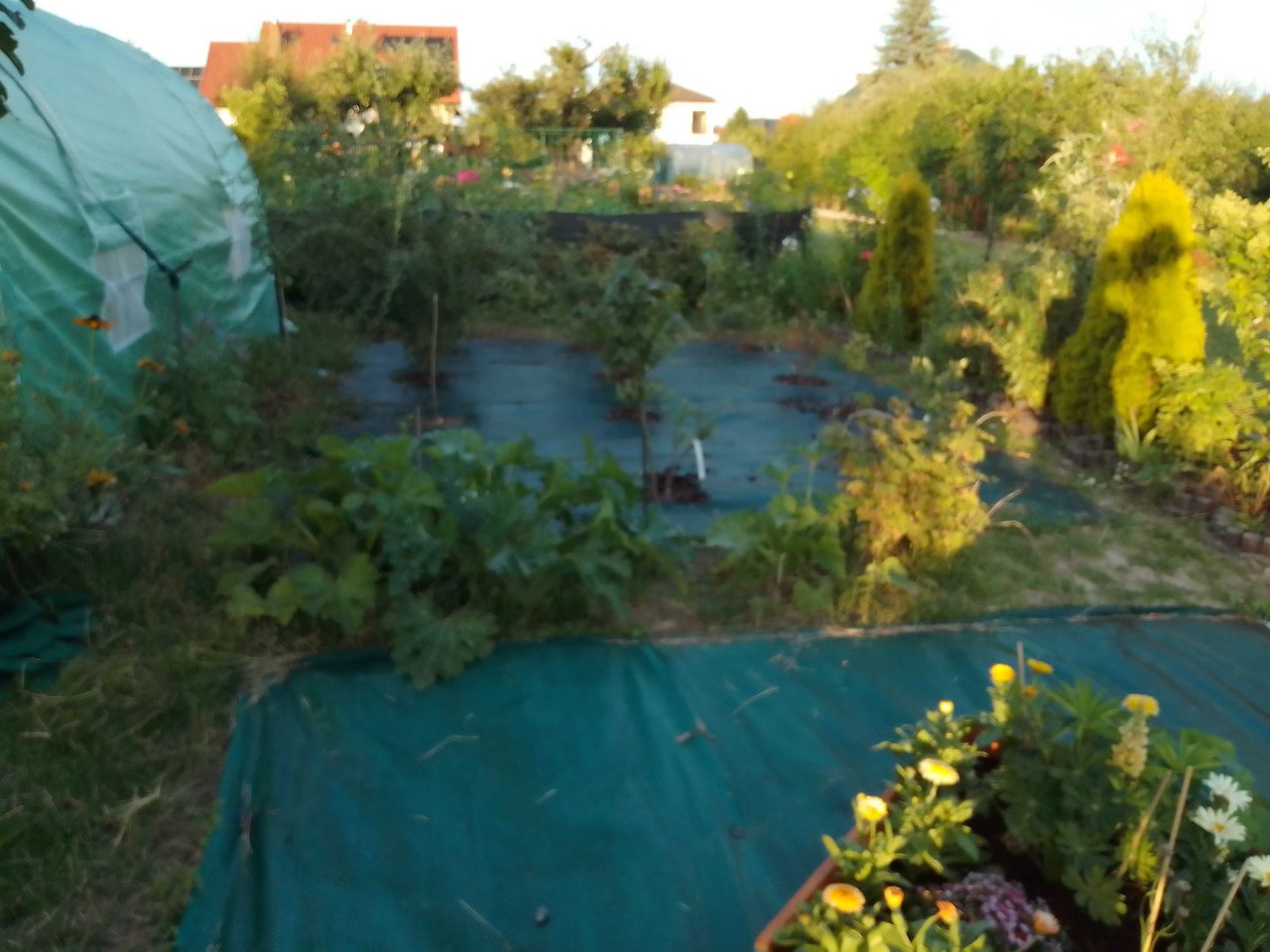 Działka rod Świdnik, ul. Działkowca. Zdjęcie 7