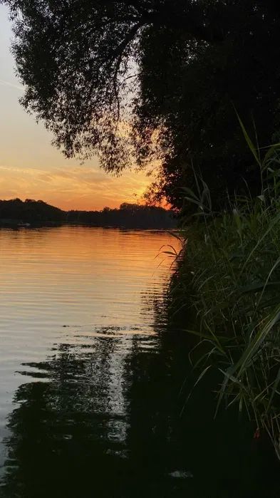 Działka budowlana Skarpa. Zdjęcie 6