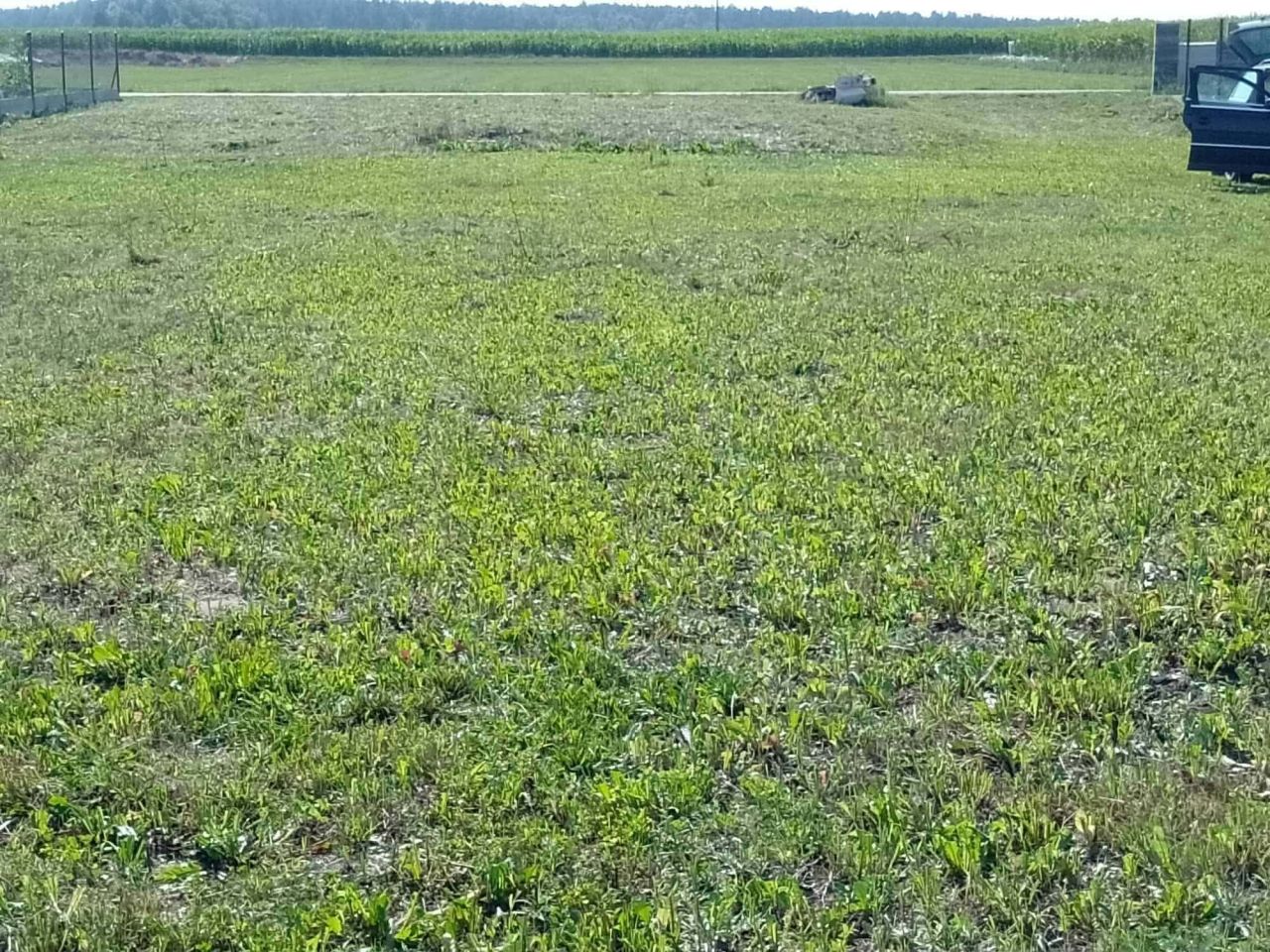 Działka budowlana Sosna-Kozółki. Zdjęcie 2