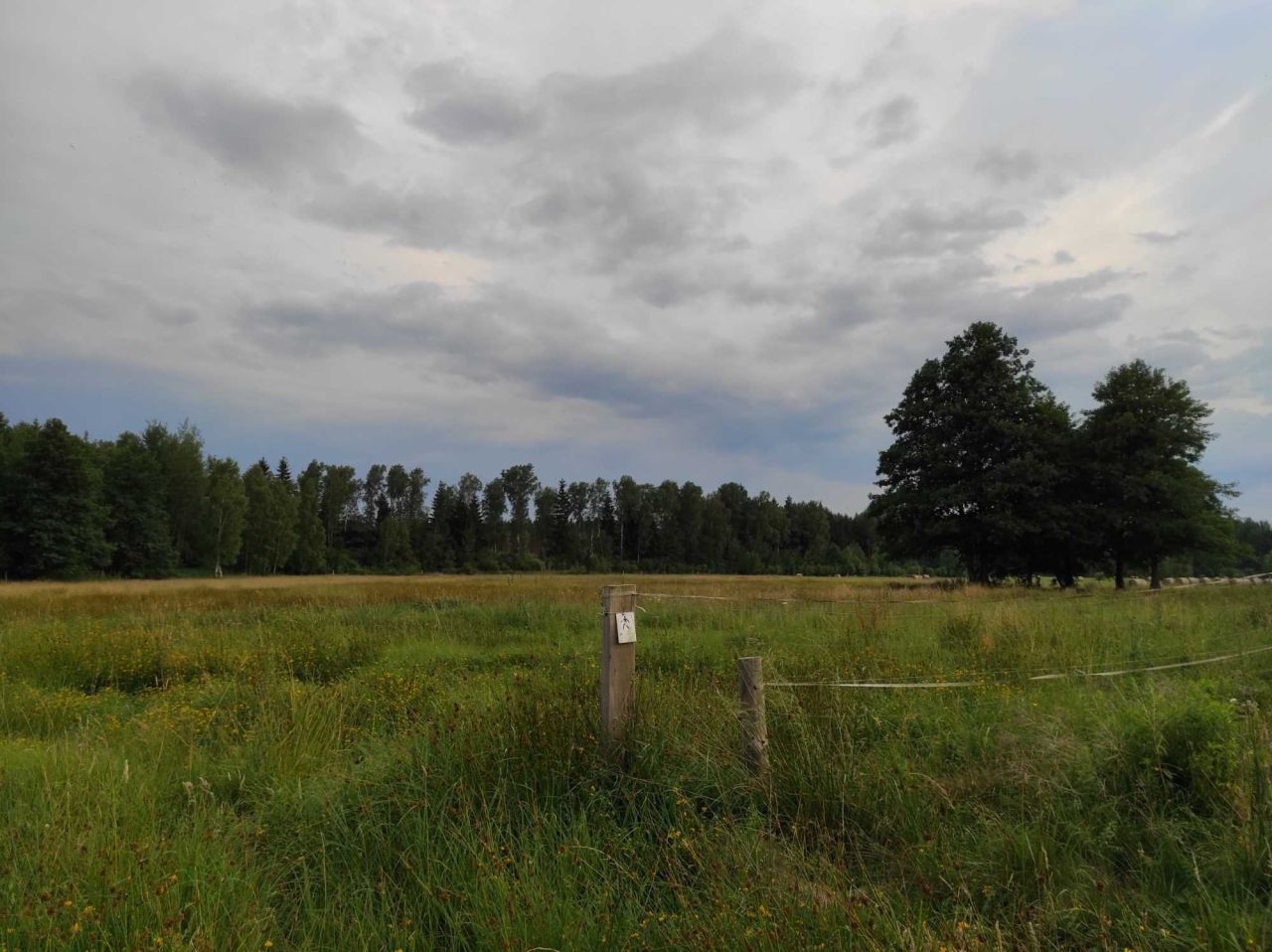 Działka rolno-budowlana Krzywczyce. Zdjęcie 5