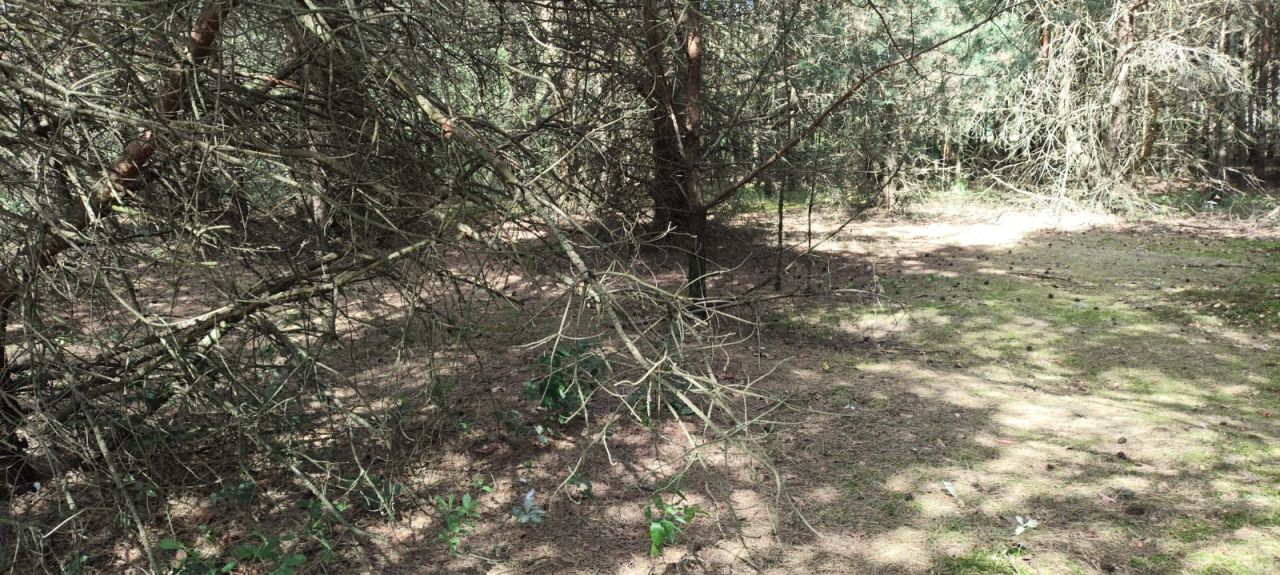 Działka rolna Ludwinowo. Zdjęcie 6