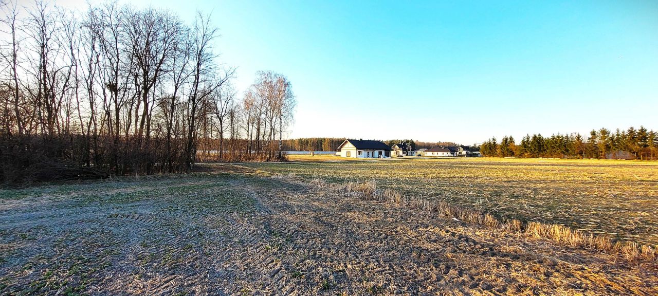 Działka budowlana Płoskie. Zdjęcie 5