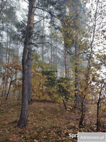 dom wolnostojący, 6 pokoi Zakącie. Zdjęcie 8