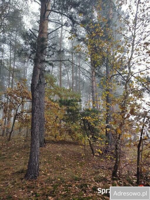 dom wolnostojący, 4 pokoje Zakącie. Zdjęcie 6