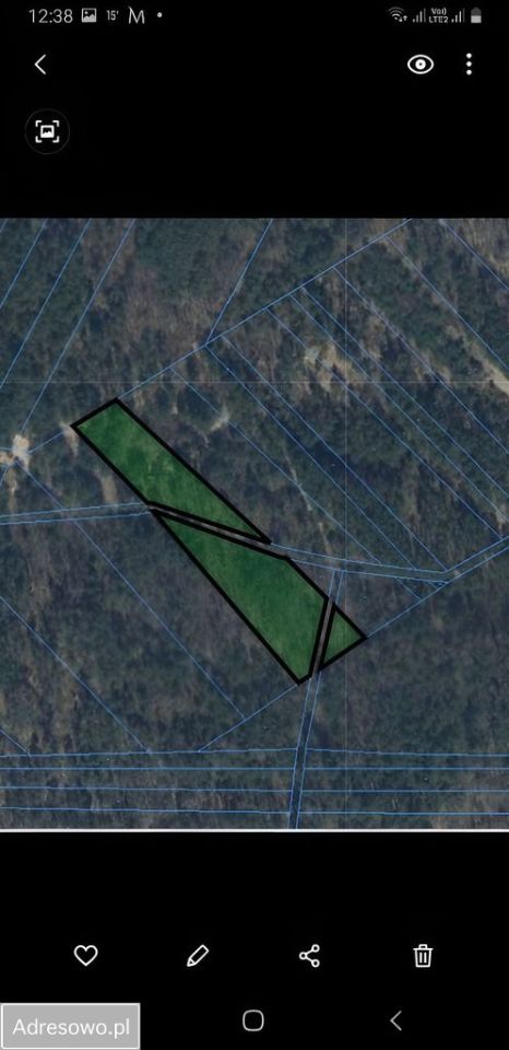 Działka leśna Goryń. Zdjęcie 4