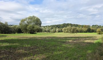 Działka inwestycyjna Krzywaczka