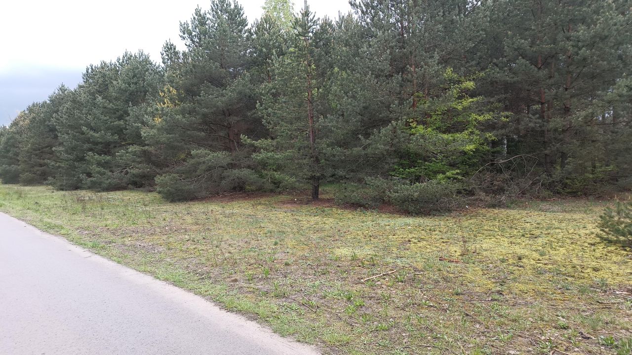 Działka budowlana Warszawa Falenica, ul. Krokusów. Zdjęcie 3