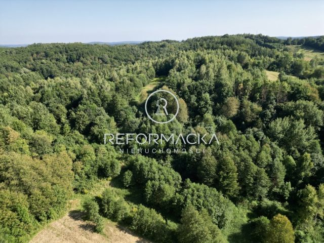 Działka rolna Dubiecko. Zdjęcie 15