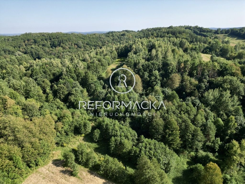 Działka rolna Dubiecko. Zdjęcie 15