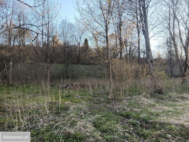 Działka budowlana Wetlina. Zdjęcie 1