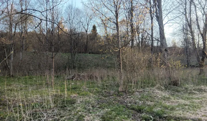 Działka budowlana Wetlina