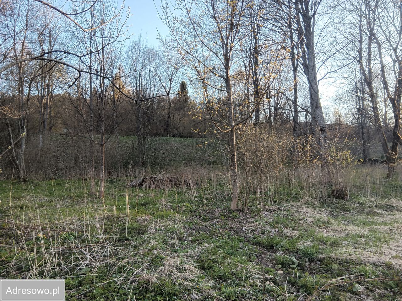 Działka budowlana Wetlina. Zdjęcie 1