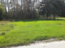 Działka siedliskowa Bogucice Pierwsze Zakościele, ul. Zakościele. Zdjęcie 1