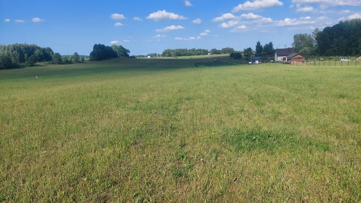 Działka siedliskowa Mierzeszyn