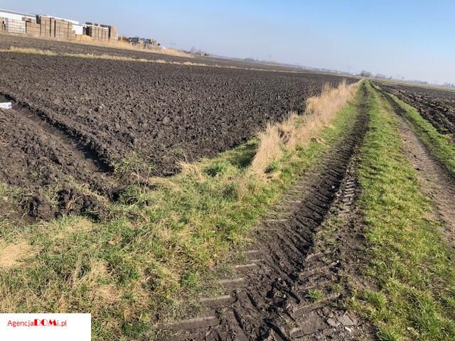 Działka budowlana Radzików. Zdjęcie 4