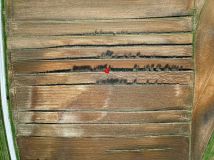 Działka rolno-budowlana Rudno Górne. Zdjęcie 1