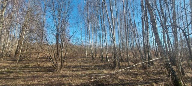 Działka budowlana Różnowo. Zdjęcie 8