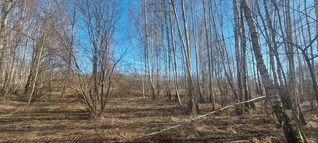 Działka budowlana Różnowo. Zdjęcie 8