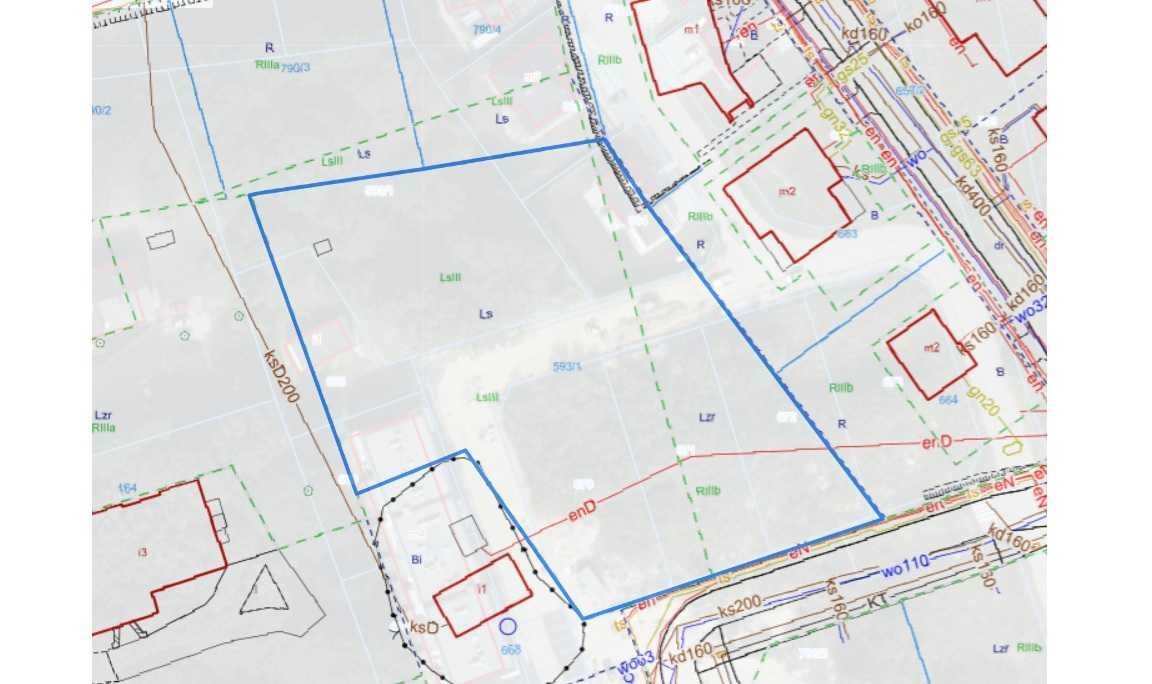 Działka leśna Rataje. Zdjęcie 3