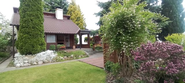 Działka rod Chojnice. Zdjęcie 1