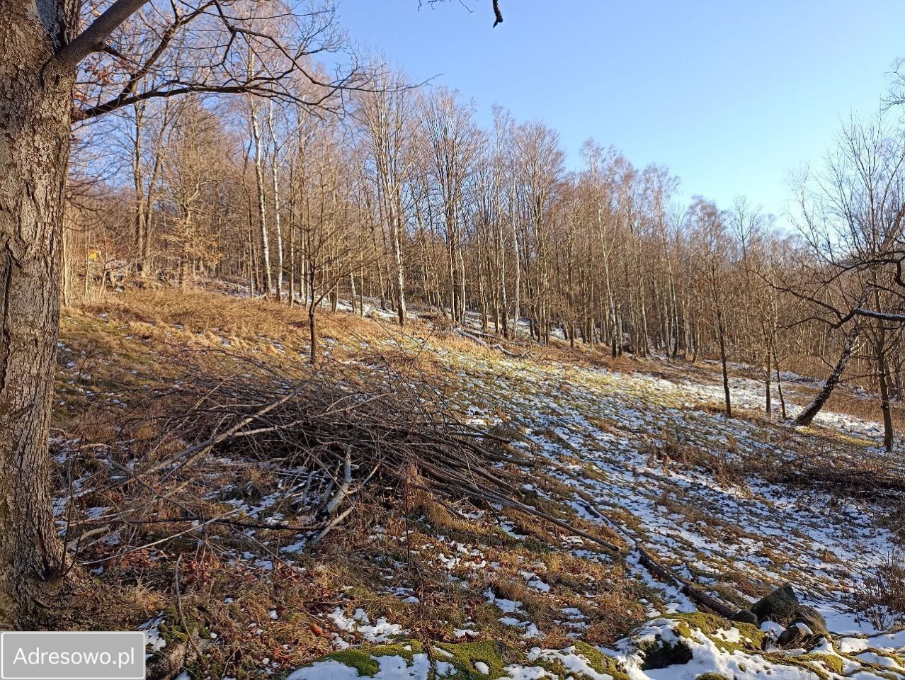 Działka inwestycyjna Świeradów-Zdrój