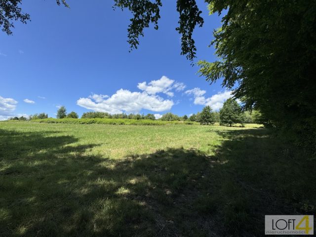 Działka budowlana Paleśnica. Zdjęcie 3