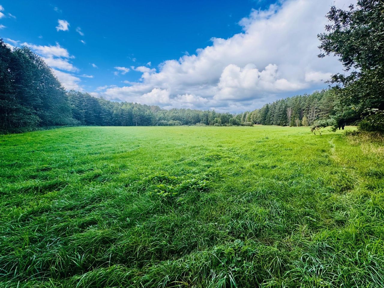 Działka rolna Nitki. Zdjęcie 6
