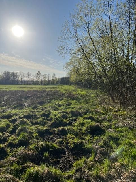 Działka rolno-budowlana Budy Wolińskie, Budy Wolińskie. Zdjęcie 3