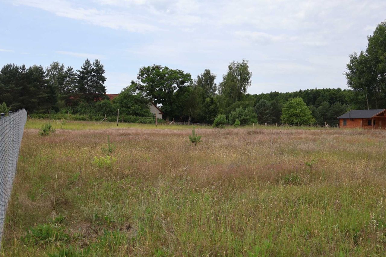 Działka budowlana Pąchy. Zdjęcie 5