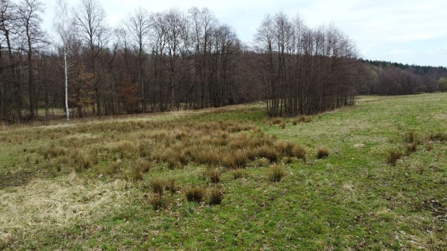 Działka budowlana Starkówek. Zdjęcie 14