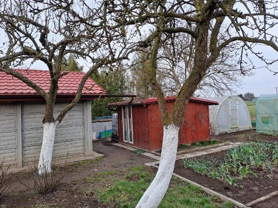 Działka rod Grodzisk Wielkopolski, ul. Działkowa. Zdjęcie 4