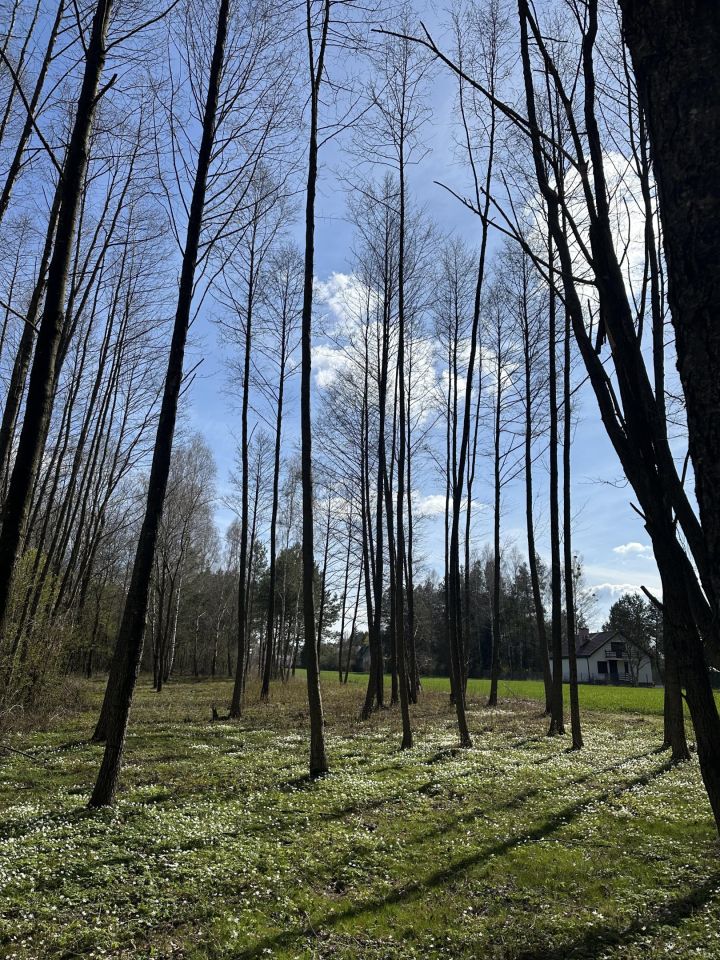 Działka budowlana Antoniówka. Zdjęcie 3