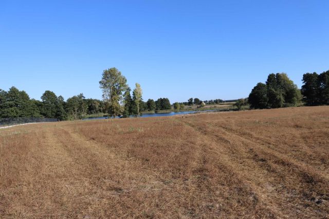 Działka budowlana Recz. Zdjęcie 1